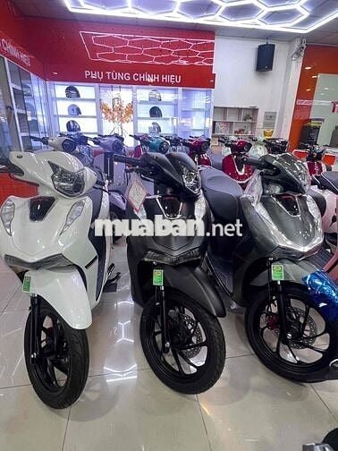 NHIỀU DÒNG XE MỚI