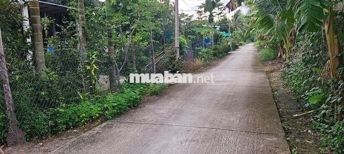 Đất Mặt Tiền gần trường học, chợ ủy ban TT Huỳnh Hữu Nghĩa