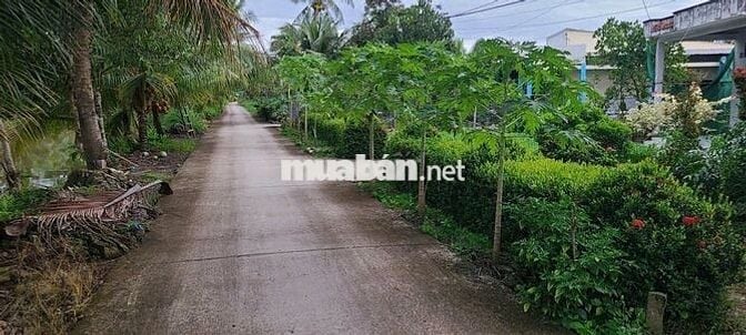 Đất Mặt Tiền gần trường học, chợ ủy ban TT Huỳnh Hữu Nghĩa