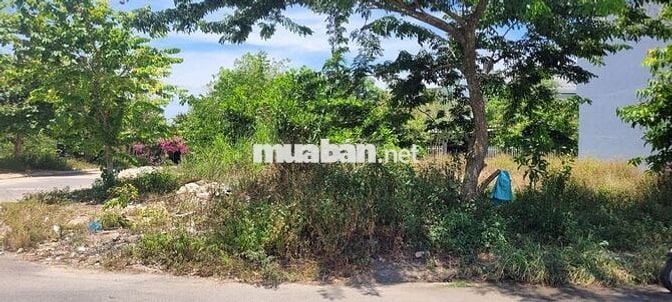 🏡 BÁN LÔ ĐẤT ĐẸP (108M²) – KDC THĂNG HOA- TT HÀ LAM