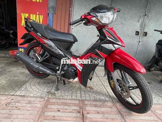 ớt bản đời cao chất đẹp