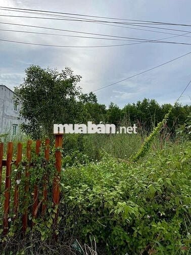 Chính chủ cần bán đất ấp Nhân Trung, 556m giá 2 tỷ 9, có thương lượng