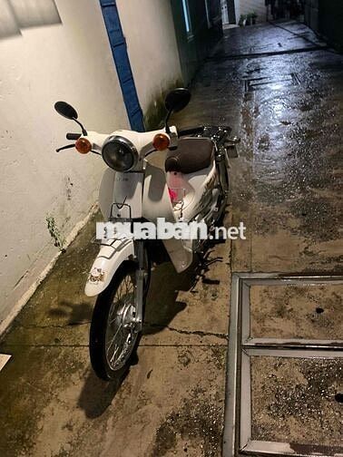 cup 50cc 2021 đẹp keng