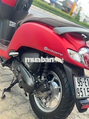 Scoopy