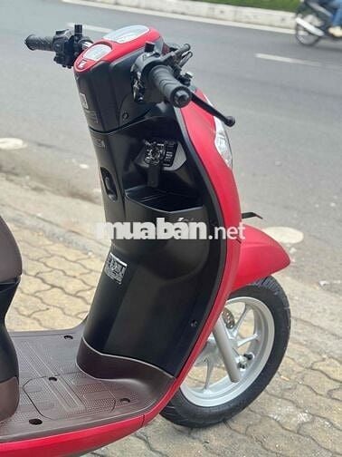 Scoopy