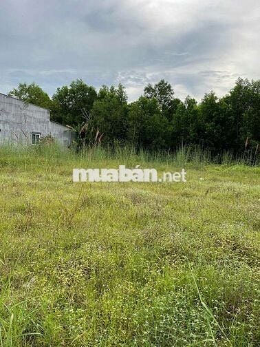 Chính chủ cần bán đất ấp Nhân Trung, 556m giá 2 tỷ 9, có thương lượng