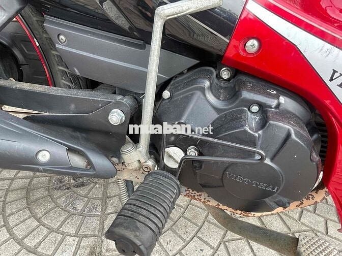 ớt bản đời cao chất đẹp