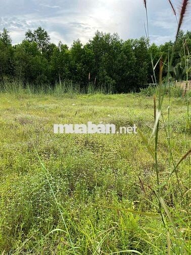Chính chủ cần bán đất ấp Nhân Trung, 556m giá 2 tỷ 9, có thương lượng