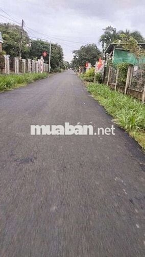 20x50 m mặt tiền đường nhựa sổ riêng, 450 tr
