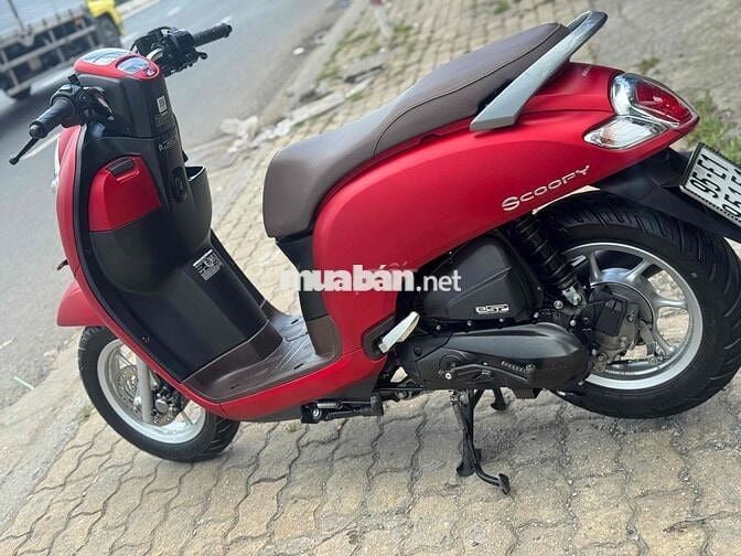 Scoopy