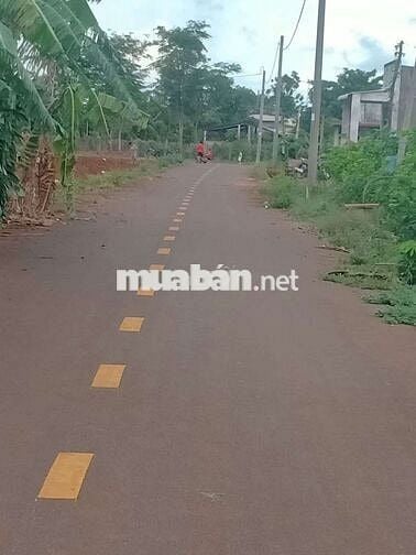 20x50 m mặt tiền đường nhựa sổ riêng, 450 tr