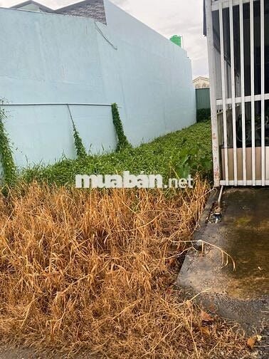 Ngay đường Trương Văn bang, Cần Đước, Long An, 100m2, đất thổ cư