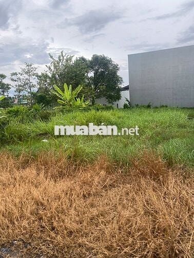 Ngay đường Trương Văn bang, Cần Đước, Long An, 100m2, đất thổ cư