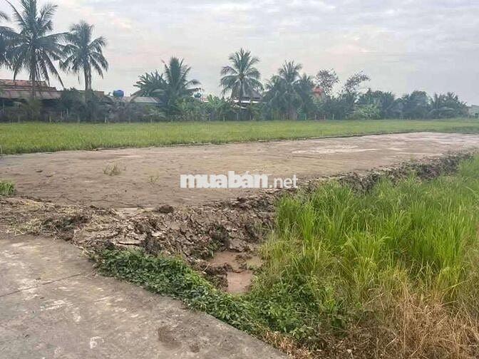 Đất phước vân thích hợp làm nhà vườn