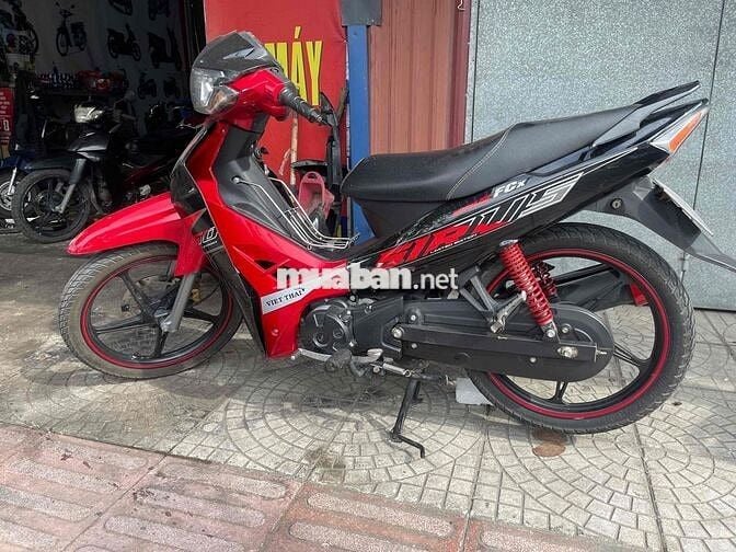 ớt bản đời cao chất đẹp