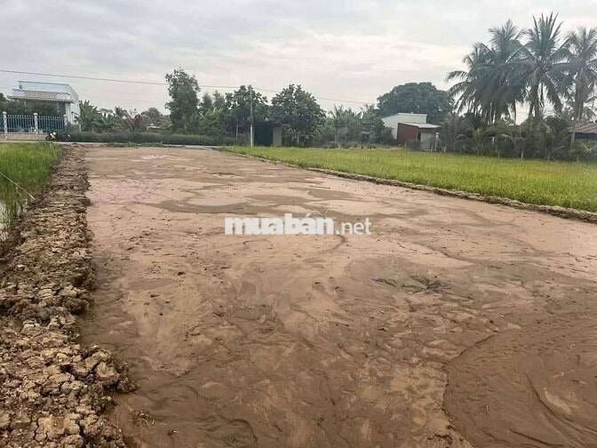 Đất phước vân thích hợp làm nhà vườn