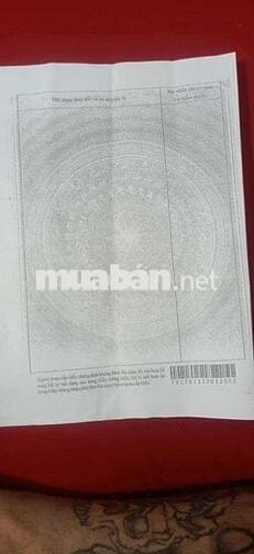 Chính Chủ Cần Bán Đất Ruộng Tân Nhựt Khu Kiến Vàng