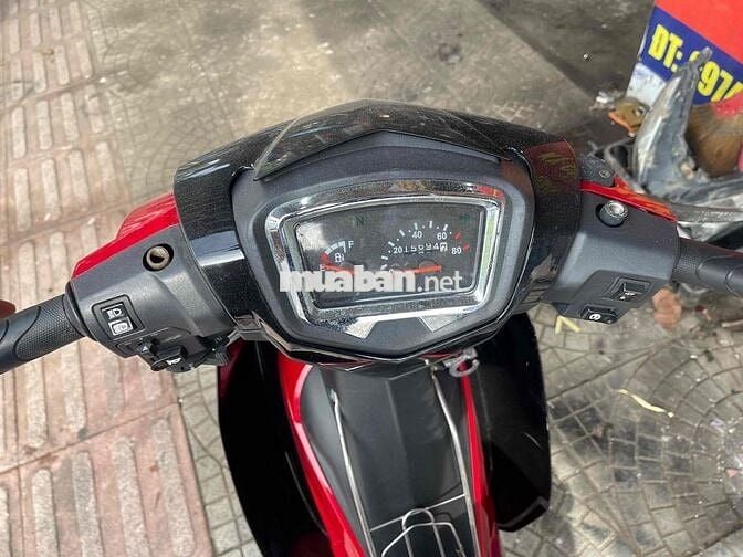 ớt bản đời cao chất đẹp