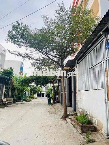 Đất 4 x 21M Đường 6M Thông Sơn Ca 8 Vườn Lài - An Phú Đông Quận 12