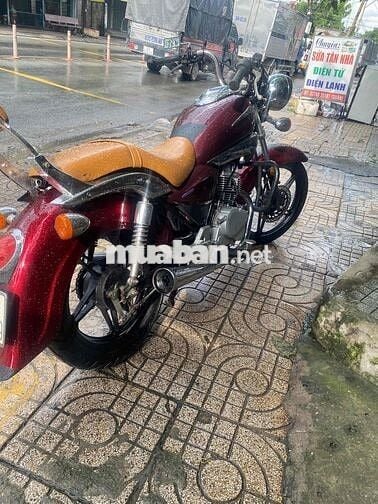 shadow 150 hqcn don cỗ điễn