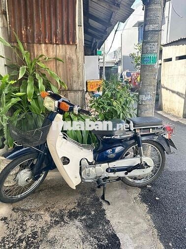 super cup 82/50cc viet thai đk 2025 cccd hop lệ