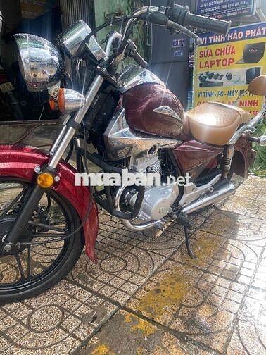 shadow 150 hqcn don cỗ điễn
