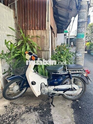 super cup 82/50cc viet thai đk 2025 cccd hop lệ