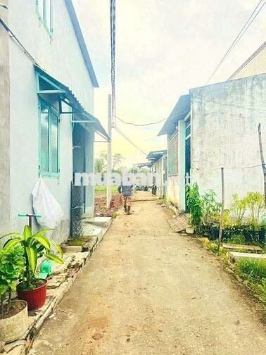 100m2 đất thổ Kdc Mỹ Lộc, Cần Giuộc, chỉ 750tr