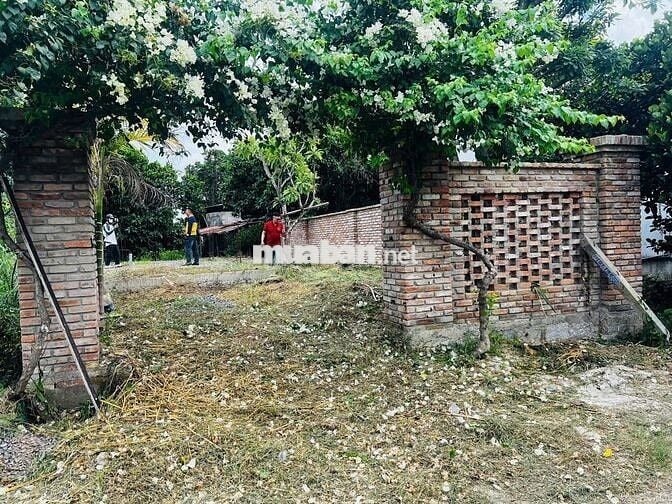 🏡 MUA ĐẤT TẶNG MÓNG NHÀ VÀ BẢN THIẾT KẾ – THỊ TRẤN DIÊN KHÁNH,
