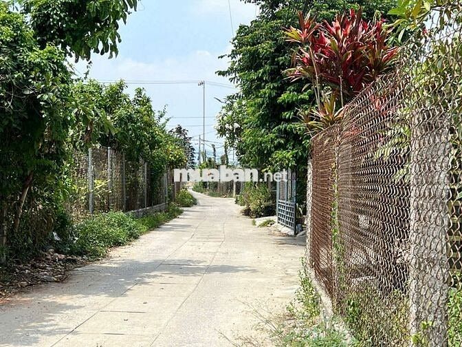 🏡 MUA ĐẤT TẶNG MÓNG NHÀ VÀ BẢN THIẾT KẾ – THỊ TRẤN DIÊN KHÁNH,