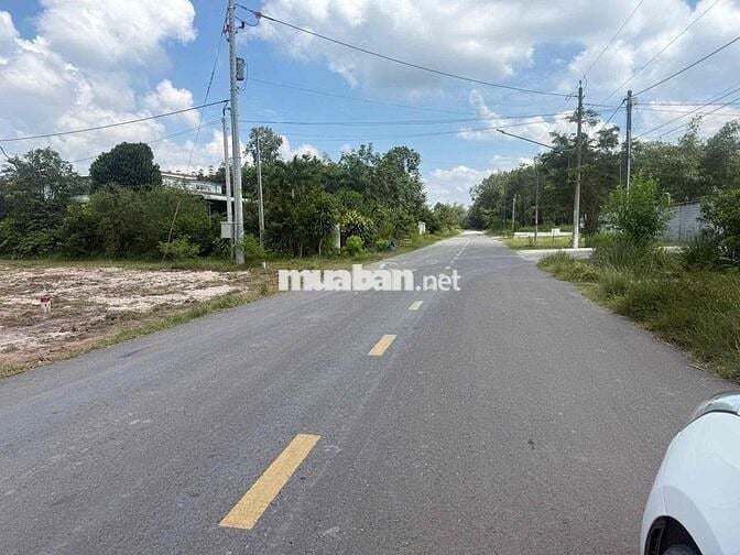 Chính chủ bán đất đường nhựa giá 350 Triệu tại TP Hồ Chí Minh