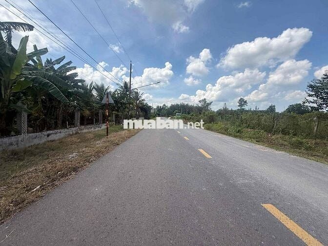 Chính chủ bán đất đường nhựa giá 350 Triệu tại TP Hồ Chí Minh