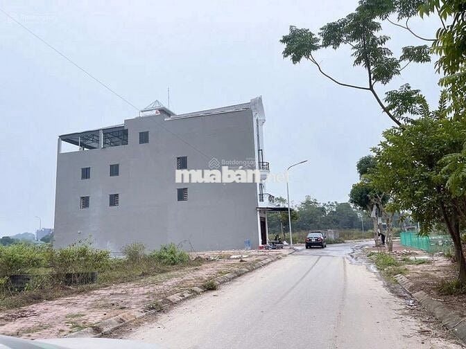 TÔI BÁN 60M FULL ĐẤT Ở CỔ ĐÔNG SƠN TÂY GẦN ĐƯỜNG QL21A LH 096.142.063