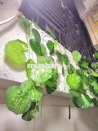Bán CCMN Tầng 1 Kinh Doanh Nhỏ. - Lê Đức Thọ, Mỹ Đình
