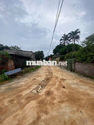 Bán Gấp Lô Góc 50m² Mặt Tiền 5m Tại  Phường Tùng Thiện, Thị Xã Sơn Tây