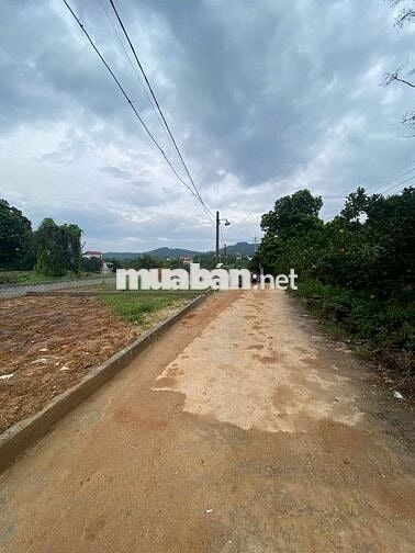 Bán Gấp Lô Góc 50m² Mặt Tiền 5m Tại  Phường Tùng Thiện, Thị Xã Sơn Tây