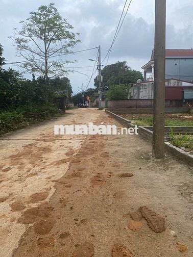 Bán Gấp Lô Góc 50m² Mặt Tiền 5m Tại  Phường Tùng Thiện, Thị Xã Sơn Tây