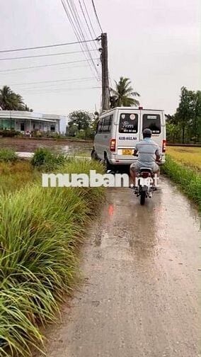 121mv (5×24,6) THỔ CƯ ,ĐƯỜNG ÔTÔ, THỊ TRẤN TÂN TRỤ LONG AN