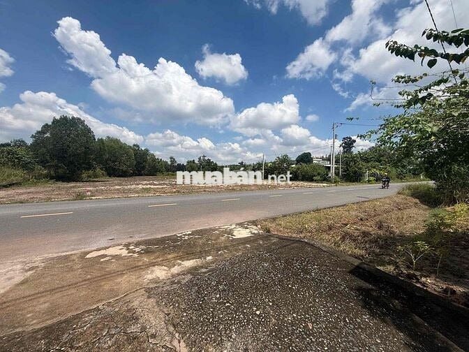 Chính chủ bán đất đường nhựa giá 350 Triệu tại TP Hồ Chí Minh