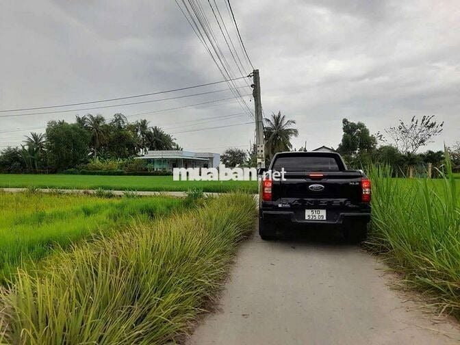 121mv (5×24,6) THỔ CƯ ,ĐƯỜNG ÔTÔ, THỊ TRẤN TÂN TRỤ LONG AN