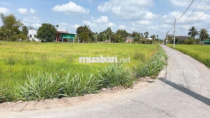121mv (5×24,6) THỔ CƯ ,ĐƯỜNG ÔTÔ, THỊ TRẤN TÂN TRỤ LONG AN