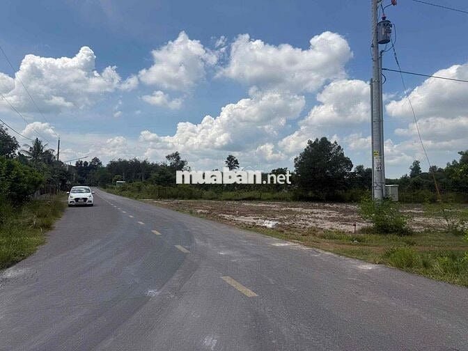 Chính chủ bán đất đường nhựa giá 350 Triệu tại TP Hồ Chí Minh