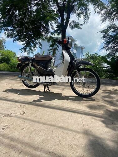 Cub 50 học Sinh (VIET THAI)