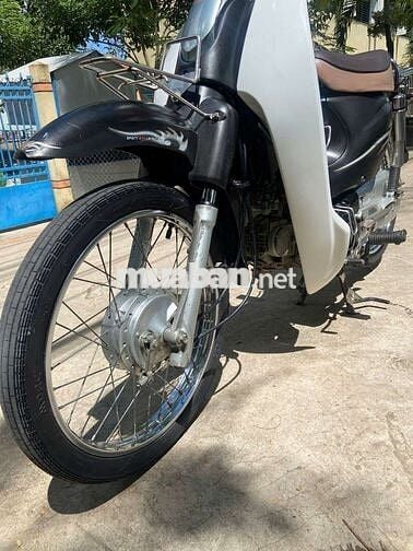 Cub 50 học Sinh (VIET THAI)