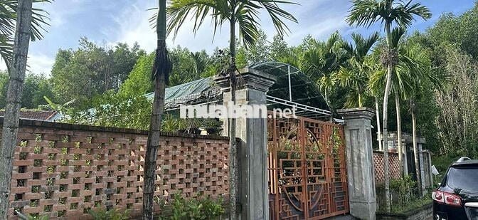 Chủ cần bán Nhà kiệt Hải Phòng, Hải Châu Đà Nẵng