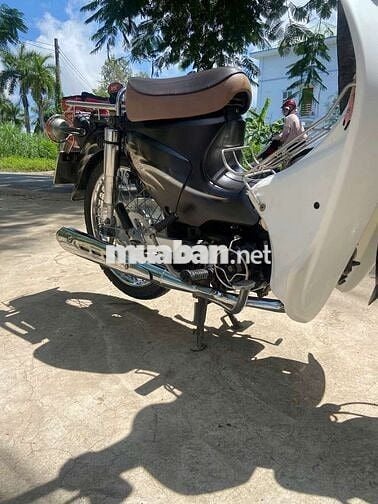 Cub 50 học Sinh (VIET THAI)