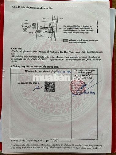 Cần bán gấp lô đất P. TTN .Q12 .DT 4x13 .có sổ hồng riêng.