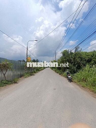 🌊 ĐẤT VIEW SÔNG – KHÍ HẬU MÁT MẺ QUANH NĂM 🌳