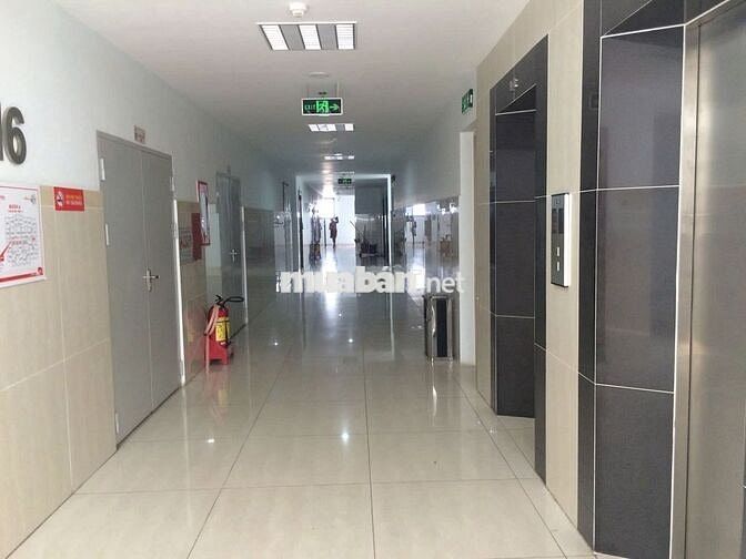 🏡 KHO CĂN HỘ USEFUL –1, 2,3 PHÒNG NGỦ – VỊ TRÍ ĐẸP TRUNG TÂM TÂN BÌNH,