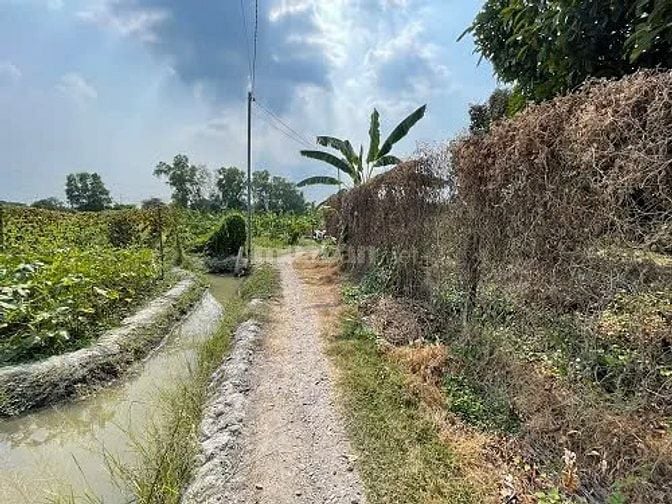 Công ty Đấu giá hợp danh Lam Sơn Sài Gòn THÔNG BÁO ĐẤU GIÁ TÀI SẢN